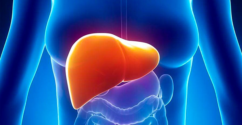 LIV 52®-hepatitis-depurador hepático-limpieza de hígado.